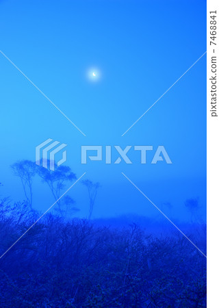 Ozegahara at dawn Ozegahara at dawn 7468841