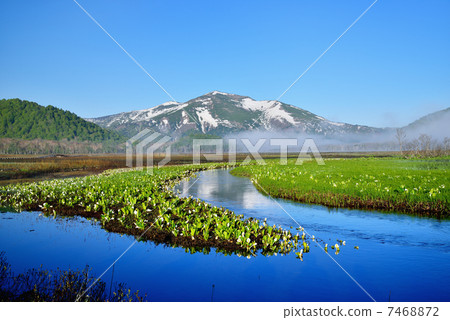 Wind-smelling Ozegahara and water basho Wind-smelling Ozegahara and water basho 7468872