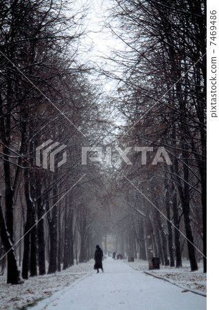 Nature scene Nature scene 7469486