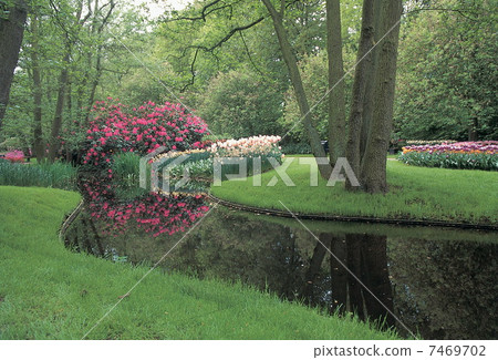 Nature scene Nature scene 7469702