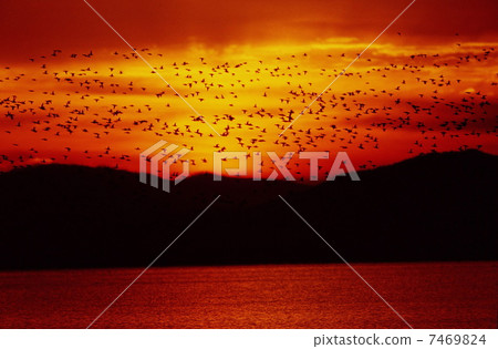 Attractive nature scene Attractive nature scene 7469824