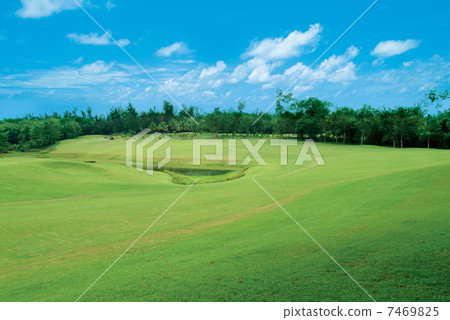 Golf course Golf course 7469825