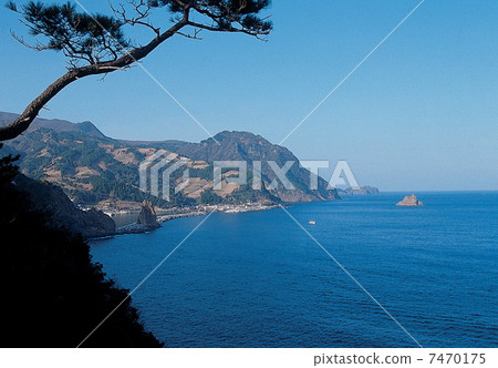 Nature Scene 7470175