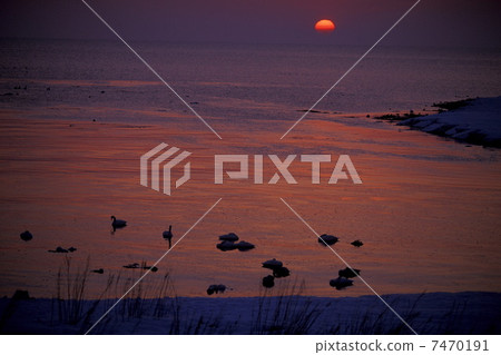 Seascape in sunset Seascape in sunset 7470191