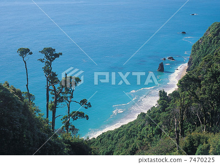 Beautiful scenic in New Zealand Beautiful scenic in New Zealand 7470225