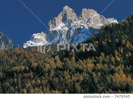 Moutain and forest near Alps 7470545