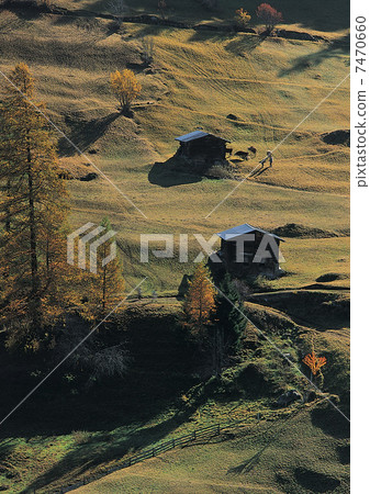 Houses in the field near Alps Houses in the field near Alps 7470660