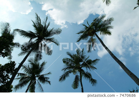Attractive seascape Attractive seascape 7470686