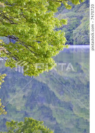 Shirasugi lake 7470720