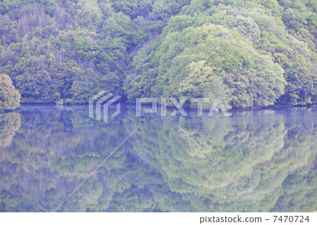 Shirasugi lake 7470724