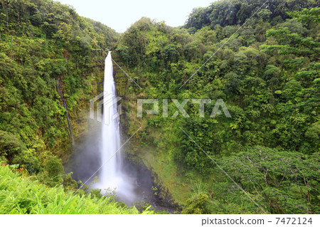 Waterfall - Akaka falls Hawaii 7472124