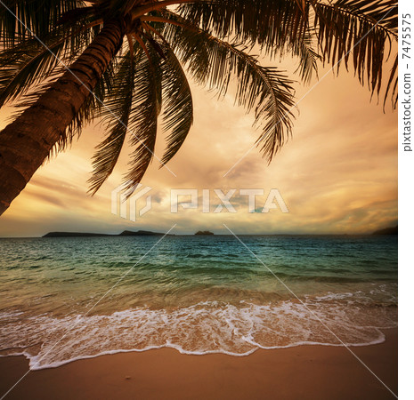 Tropical beach Tropical beach 7475575