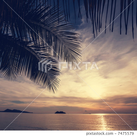 Tropical beach Tropical beach 7475579