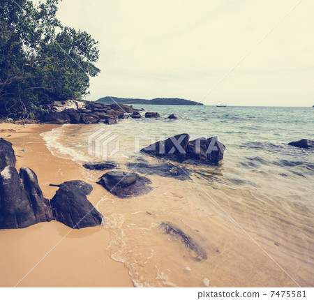 Tropical beach Tropical beach 7475581