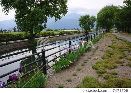 Azumino picket weir 7475706