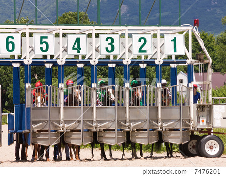 Before horse race. Before horse race. 7476201