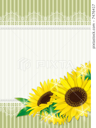 向日葵_種族_ 0 2 向日葵_種族_ 0 2 7476417