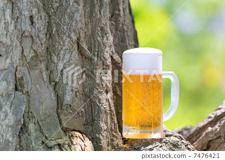 beer  7476421
