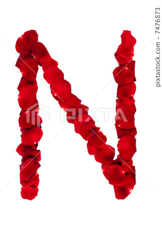 Letter N made of roses petals 7476873