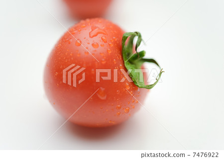 Fresh cherry tomatoes with water droplets on them Fresh cherry tomatoes with water droplets on them 7476922