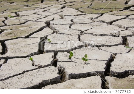 June Land and earth 17 Cracks and buds 7477785