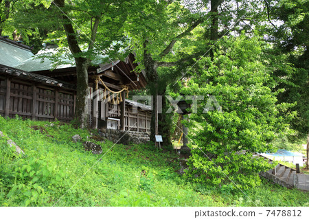 在Su訪大社神宮 7478812