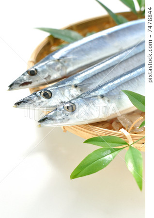 Raw saury Raw saury 7478844