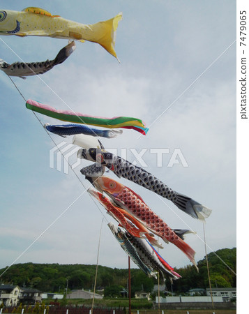 鯉魚旗 鯉魚旗 7479065