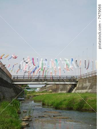 Carp streamer Carp streamer 7479066
