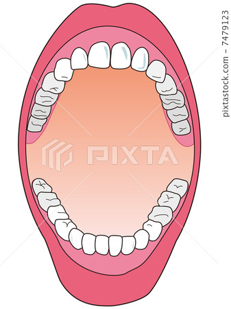 Dental checkup 7479123
