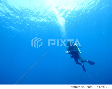 Floating diver Floating diver 7479129