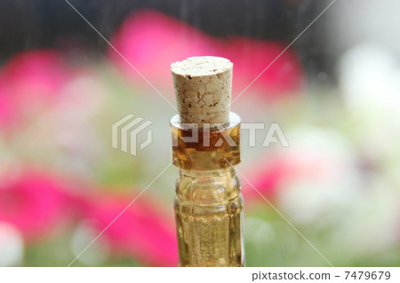 Cork 7479679