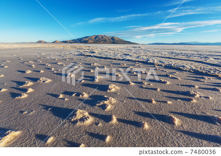 Salar de Uyuni 7480036