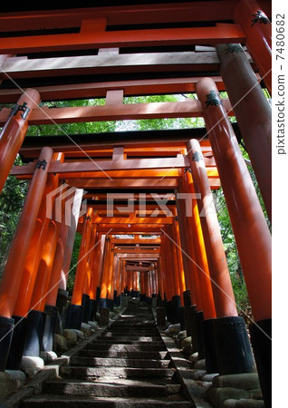 Fushimi Inari Shrine 7480682