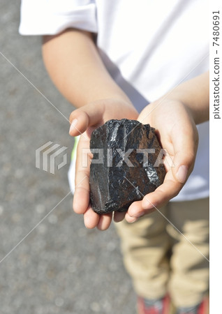 coal 7480691
