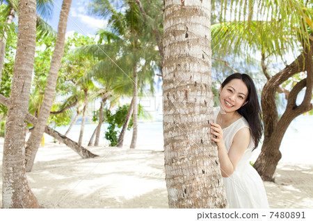 棕櫚樹和婦女 棕櫚樹和婦女 7480891