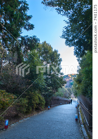 龜山公園 龜山公園 7481175