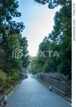 龜山公園 龜山公園 7481176
