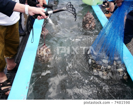 我要洗掉那個渴望海水的獵物 7481598