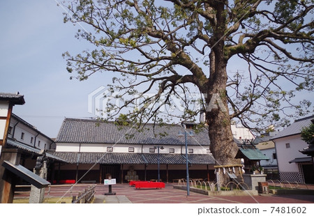 老長庭院 7481602