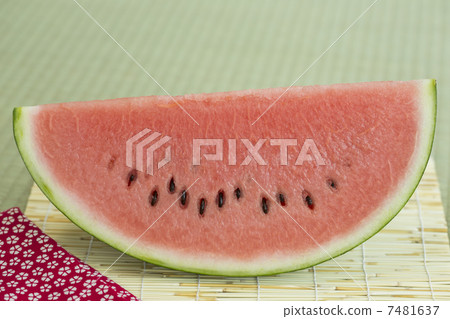 watermelon   7481637