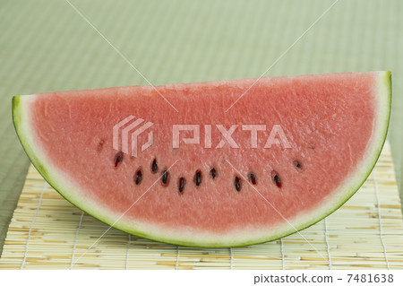 watermelon   7481638