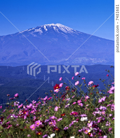 從觀賞樹林的Chokaiyama 7481681