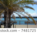 A water park 7481725
