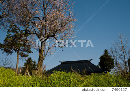 My late spring of Myoko My late spring of Myoko 7490137