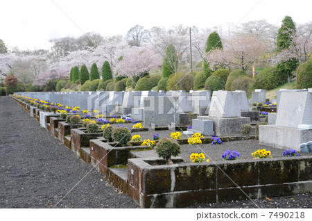 Spring Cemetery 7490218