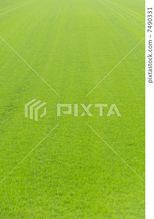 Lawn background Lawn background 7490331