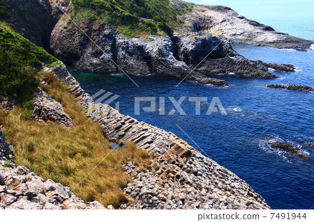 Saga Nanatsuka's elephant's nose 7491944