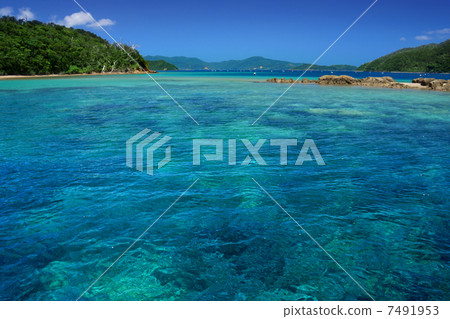 高透明度的海洋 7491953