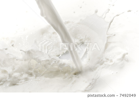 milk splash milk splash 7492049